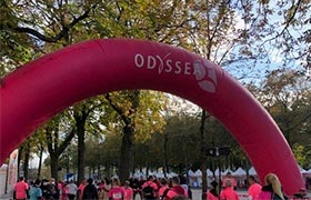 RSE Odyssea