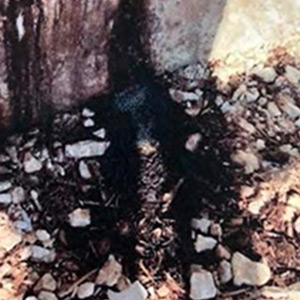 Installation-methanisation Img-1 300x300